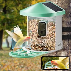Smart Bird Feeder With Camera AI Identify 10000+ Bird Specie Solar-Powered (Option: Multicolor)